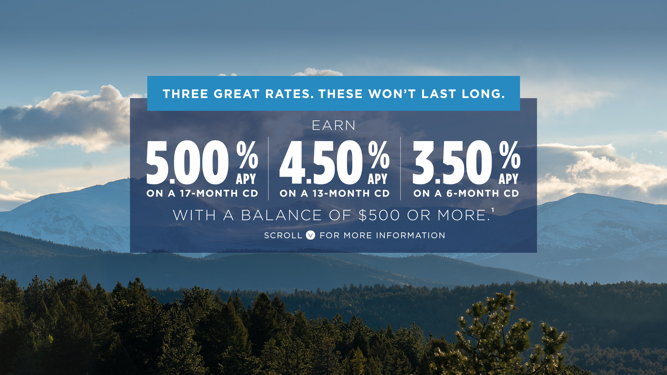 Three great rates. These won't last long. Earn 5.00% APY on a 17 Month CD, 4.50% APY on a 13 Month CD, 350% APY on a 6 month CD, with a balance of $500 or more. Scroll down for more information.
